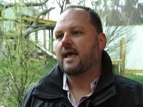 Панды в Эдинбурге готовы завести потомство