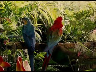 Tournage du film "Sur la piste du Marsupilami" pour Kiss Fm