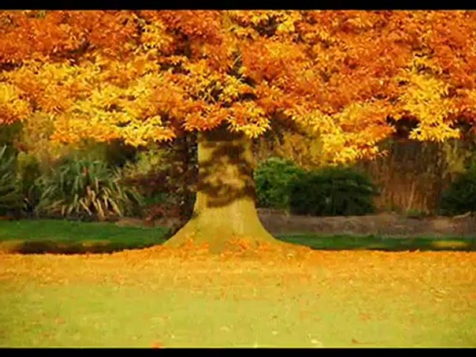 Ma douce mélodie  Michel Beauprez