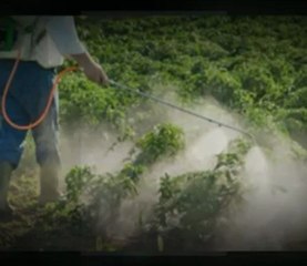 Sawtooth Spraying Service  - (208) 734-4131