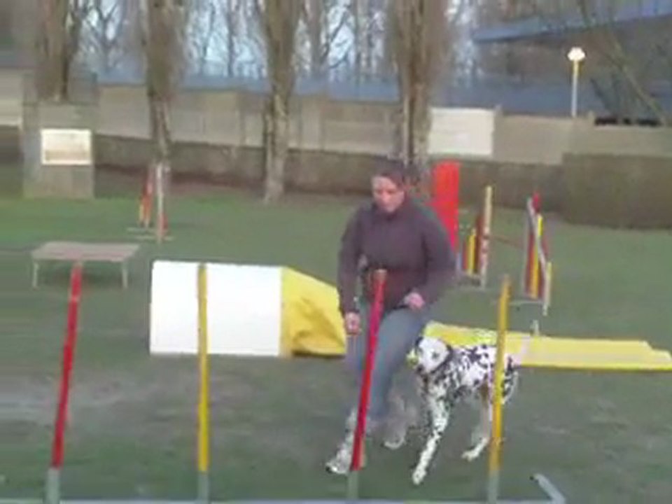 diane suite à l'agility