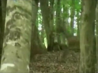 Behçet Gülas - Kül Oldum