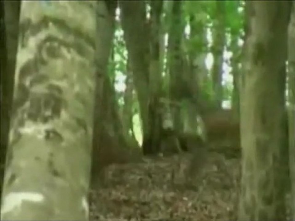 Behçet Gülas - Kül Oldum