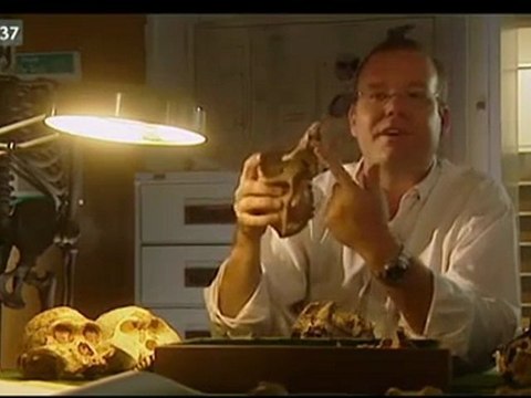 Die Odyssee des Menschen Teil 1 - Es begann in Afrika