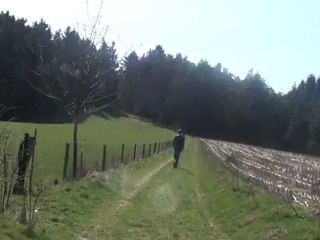 Creepy Woods - Movie Trailer