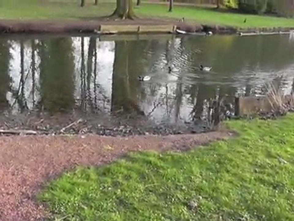 WASMES  BELGIQUE ... parc de jemappes