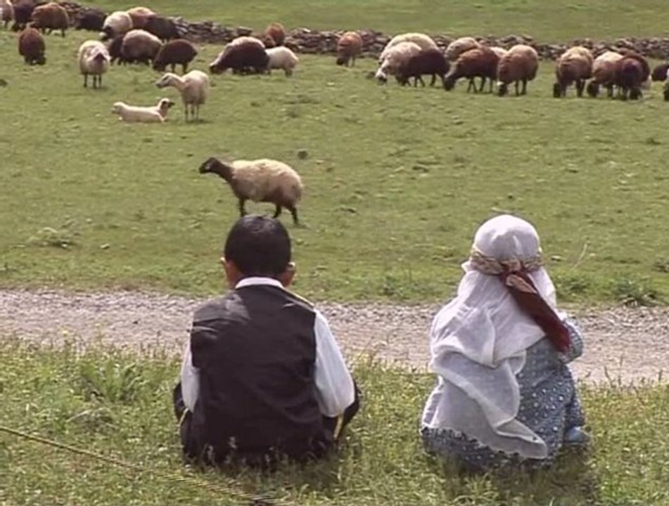 Erol Berxwedan - Yare Tu Zani