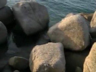 Plugin Deshaker virtualdub