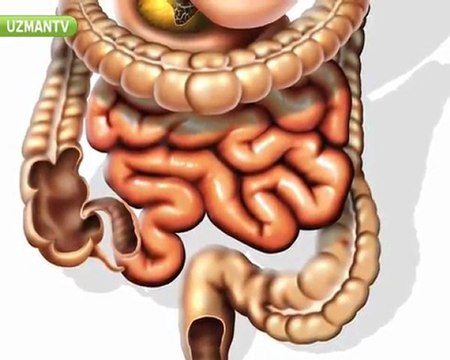 Dr.Nihat Tanfer - Ağız kokusu hangi hastalıkların belirtisi olabilir-