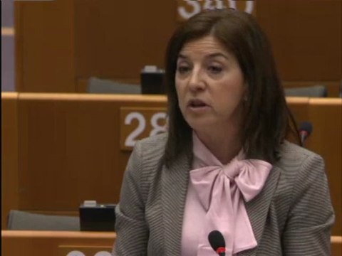 Izaskun Bilbao Barandica on Enlargement report for Kosovo