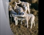 L'Eternel est mon Berger !