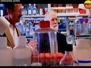 Домашний демон