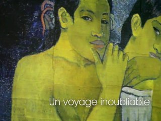 Carrières de Lumières - Spectacle "Gauguin, Van Gogh, les peintres de la couleur"