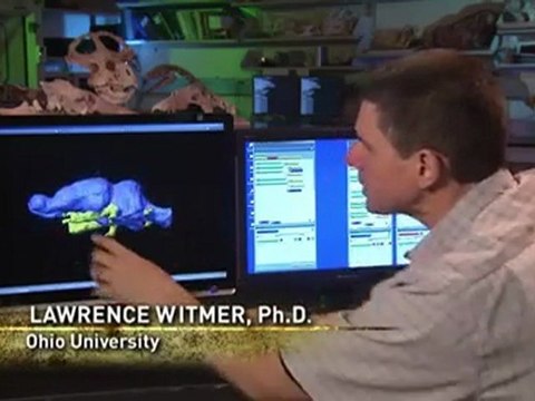 Vor 38 bis 19 Millionen Jahren - Prehistoric Predators_ Killer Pig Part 3