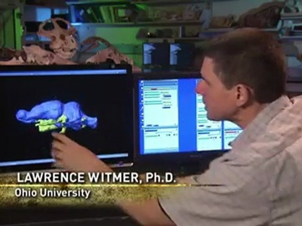 Vor 38 bis 19 Millionen Jahren - Prehistoric Predators_ Killer Pig Part 3