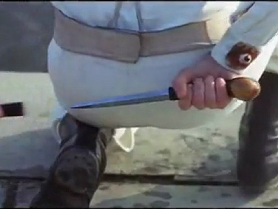 A Clockwork Orange - Alex attacks Georgie