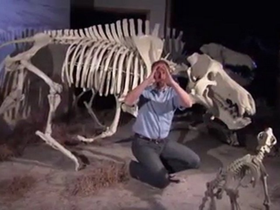 Vor 38 bis 19 Millionen Jahren - Prehistoric Predators_ Killer Pig Part 4
