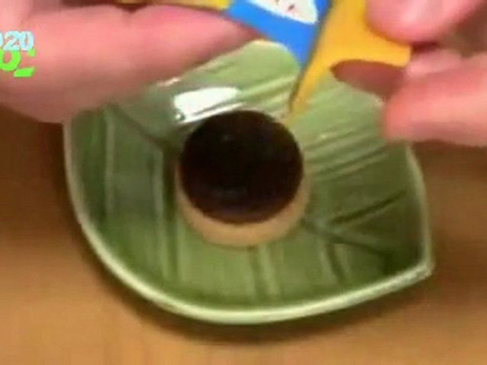 Les hamburgers en poudre Japonais qui font grave mal au ventre !