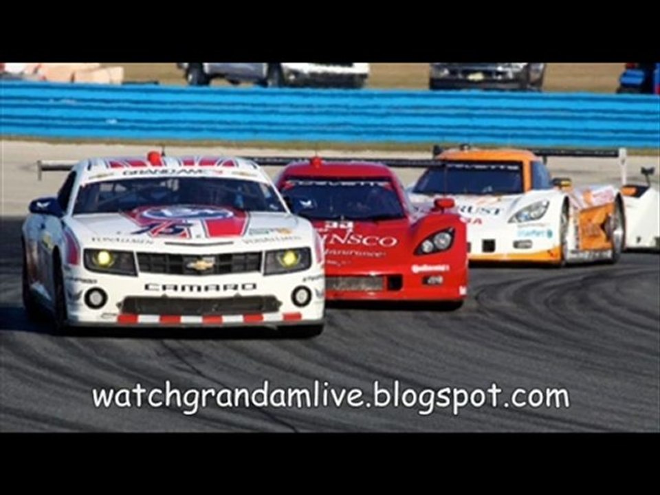 PORSCHE 250 Live Races