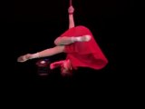 TATYANA OJIGANOVA-aerial straps, Art agency Valentino