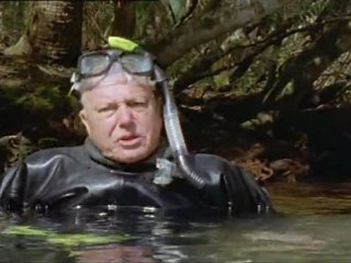 7 - Mamiferos - Habitantes del Mar