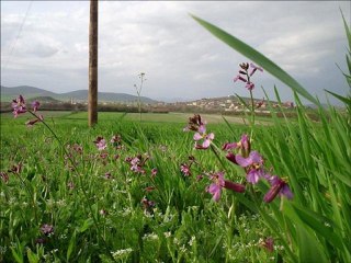 Fadime Akpınar - Dertli Kervan
