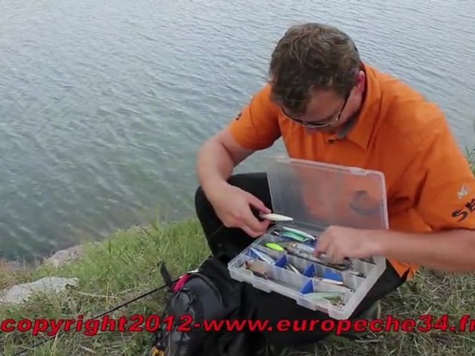 Pêche du loup (bar) aux leurres Arigato dans le canal du Rhône à Sète