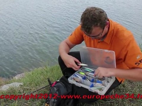 Pêche du loup (bar) aux leurres Arigato dans le canal du Rhône à Sète