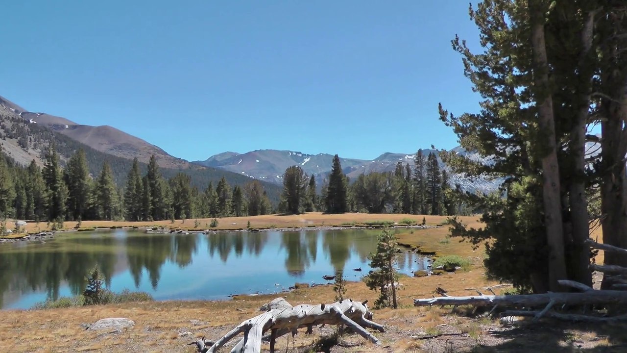 Road Trip aux USA Part 11 : Yosemite Park et Mono Lake - Californie