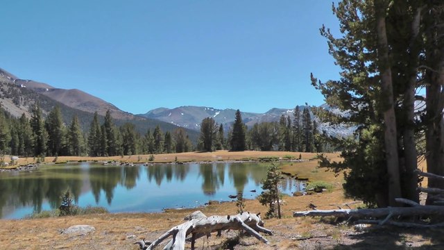 Road Trip aux USA Part 11 : Yosemite Park et Mono Lake - Californie