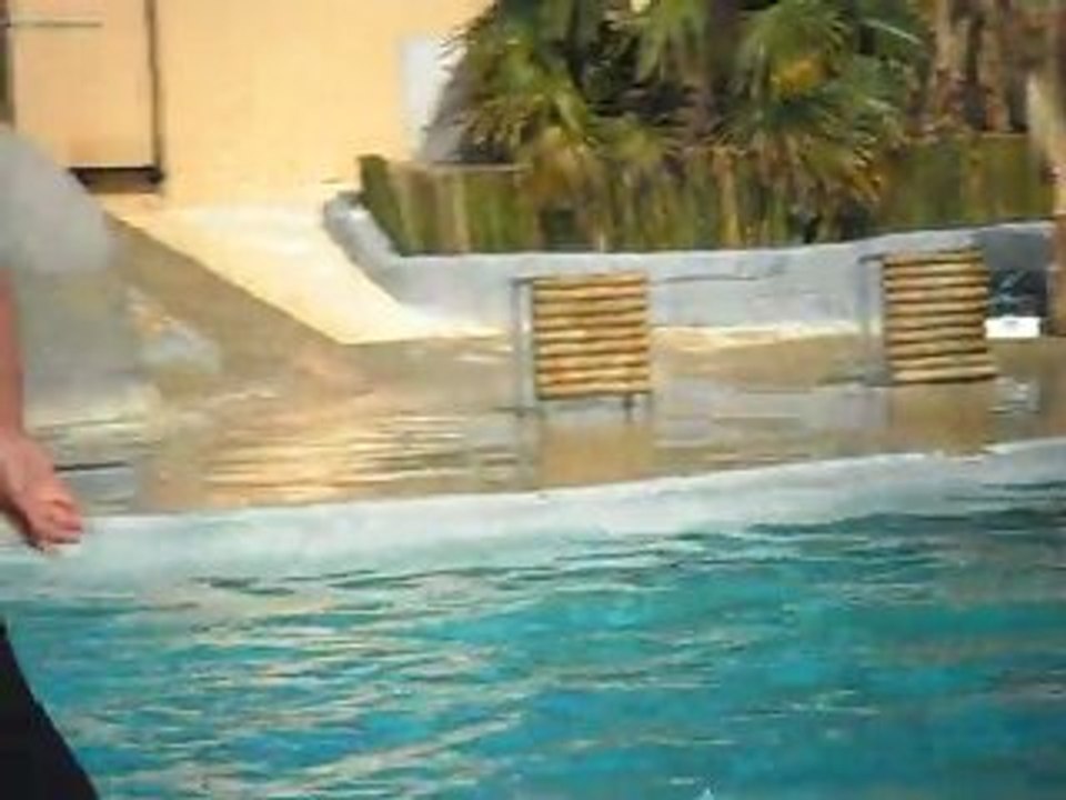 SAM_0401