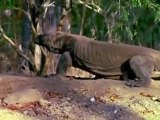 Vor 1,5 Millionen Jahren - Giganten der Urzeit E04 Die tödlichen Jäger Deutsch