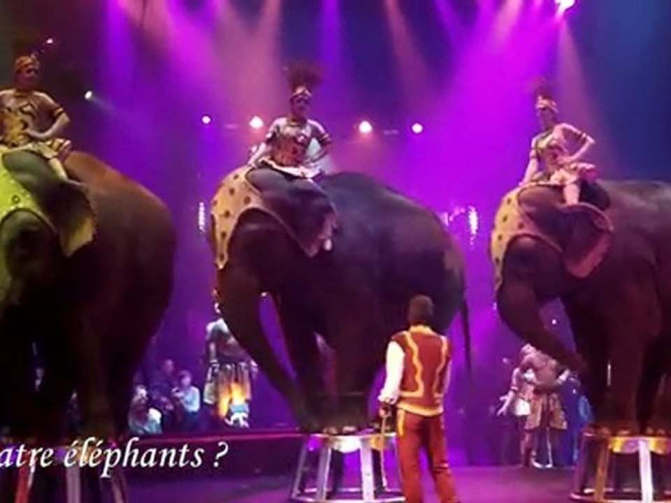 Cirque Arlette Gruss - Boulogne-sur-Mer