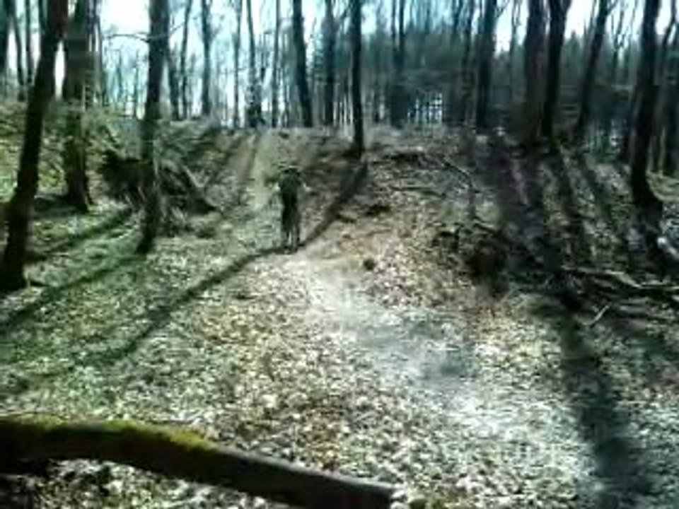 saut 1