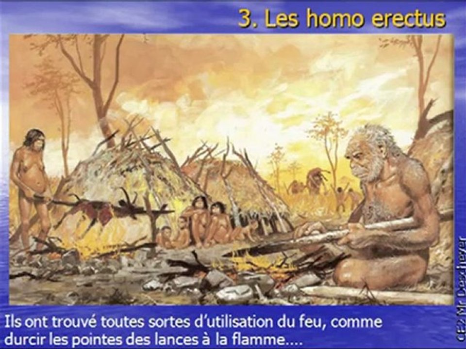 H3 Homo Erectus
