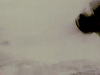 PROSTOTAK THIRTY_by Miron