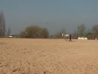 29.03.2012.za.sing.s4