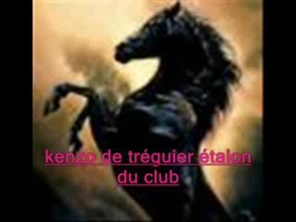étalon kenzo de 7/8ans
