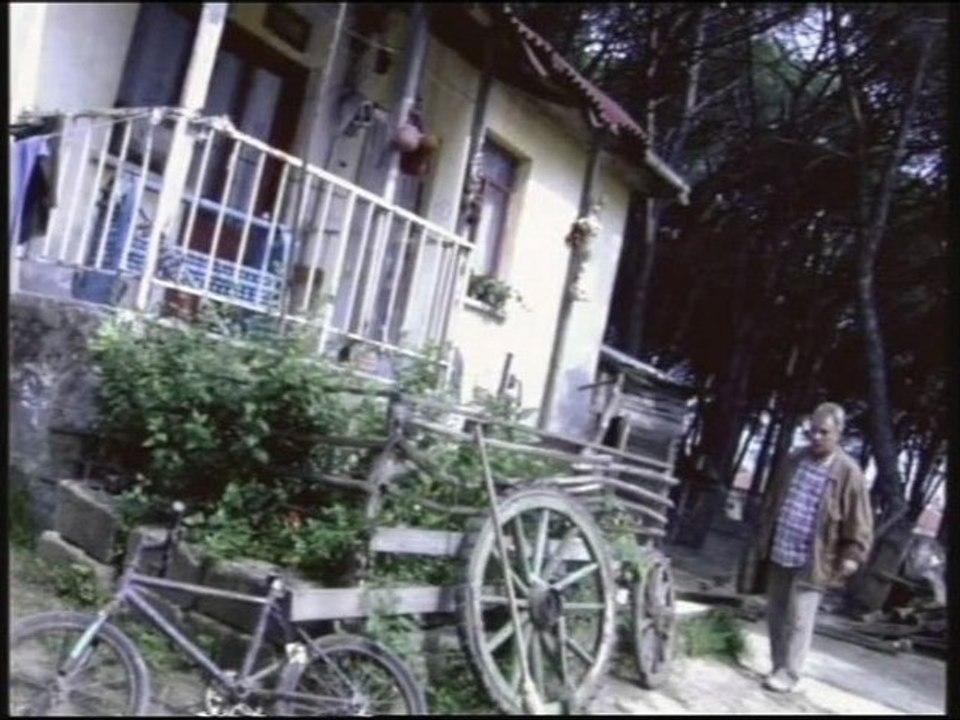 Selda Bağcan - Anne... Ben Geldim