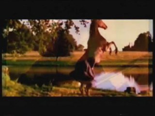 Selda Bağcan - Sabreden Derviş