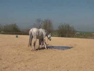 29.03.2012.zh.sing.s4