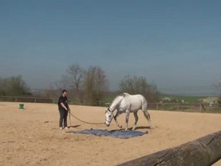 29.03.2012.zj.sing.s4