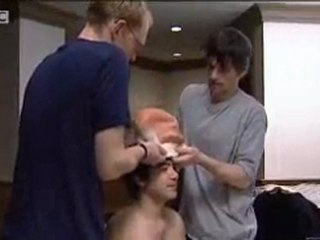 Evolution - from ape man to neanderthal - BBC science