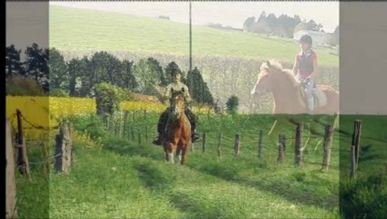 Maya les progrès ♥