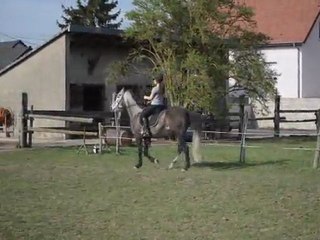 Jocasso changement de pied au galop, non voulu !