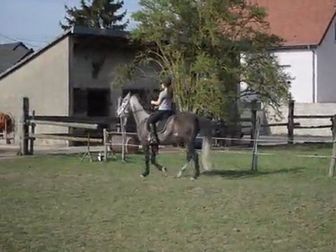 Jocasso changement de pied au galop, non voulu !