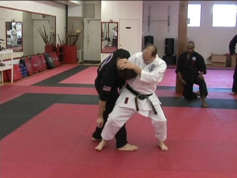 Troy J. Price Continuous Striking Techniques Martial Arts Action Clips