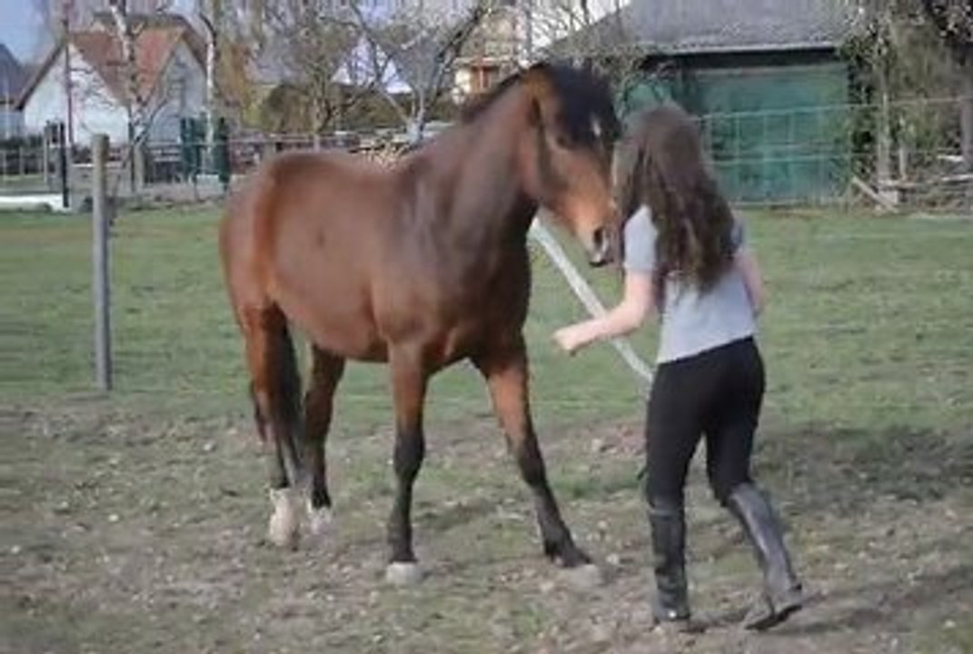 Ulkhi travail à pied