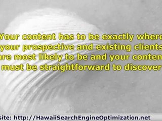 Search Engine Marketing Hawaii