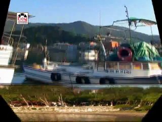 Azdavaylı Safiye - Kamayı Çektim Kından